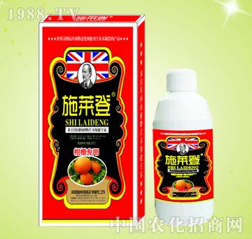 �̳��~���-ʩ�R��