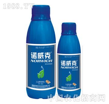 �ЙC(j��)����Һ�ʣ�ɽˎ��(zhu��n)��