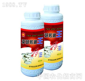 ��ɽ����-ƽ���D(zhu��n)����