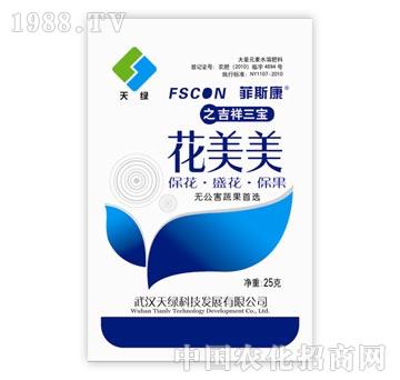 ��˹��֮��������������