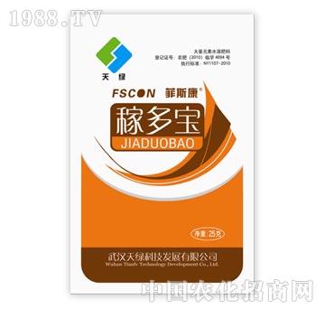 ��˹���ڶ���