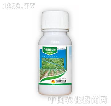 ���Ӄ�-̩�