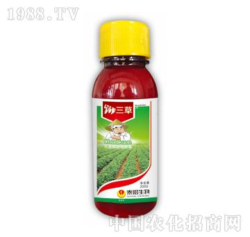 �z����-̩�(y��ng)