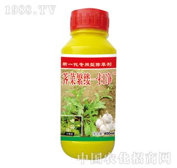 薺菜繁縷一掃凈-泰陽(yáng)