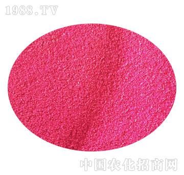 ����(j��)�o���w����-�����r(n��ng)