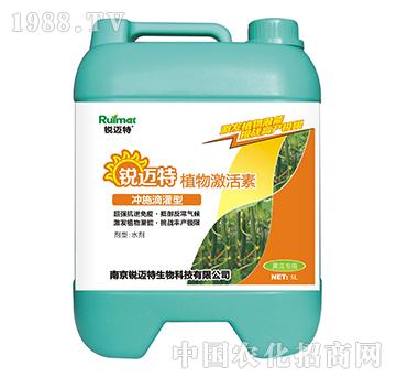 ֲ�Ｄ���؛_ʩ�ι���-