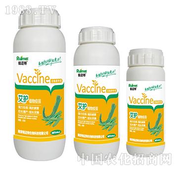 ���o(h��)ֲ�����綹�ǌ���-