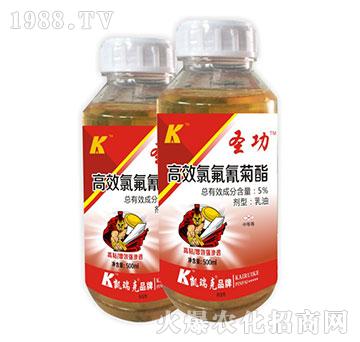 5%��Ч�ȷ������-ʥ��-�P���