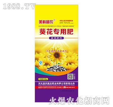 �������Ó������-����