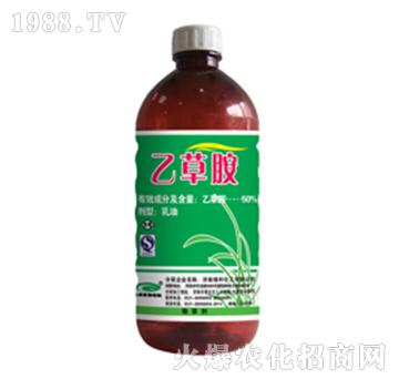 50%�Ҳݰ�-�G��