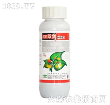 �t���p��-�G��