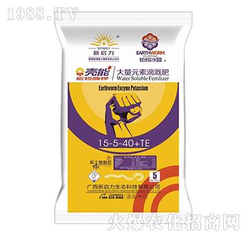 ����Ԫ�ع�ȷ�15-5