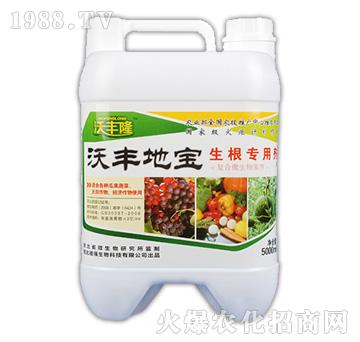 ���S�،���������(zhu��n)�Ä���-���S¡-��(qi��ng)