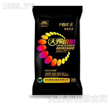 ���n�Z�C(j��)-̼�ܼ��Z����