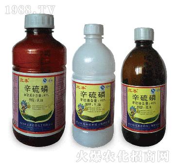 40%����������-����