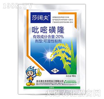 20%���׻�¡�ɝ��Էۄ�-ɯ韷�-��������