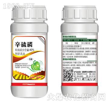 40%����������-�Ұ