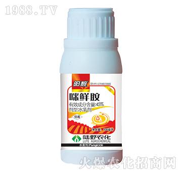 45%���r��ˮ�鄩-�