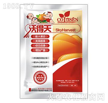 �ֵ���-��ķɭ