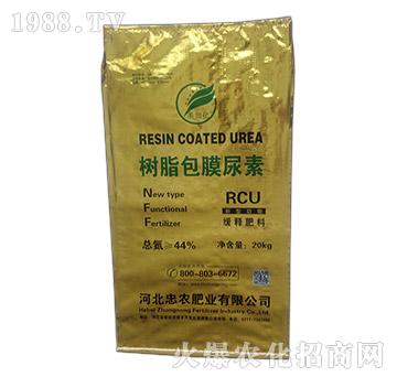 ��֬��Ĥ����-���ӻ�-һ�r(n��ng)�μ�