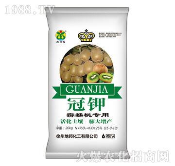 �J���Ҍ���-���-�ذ�