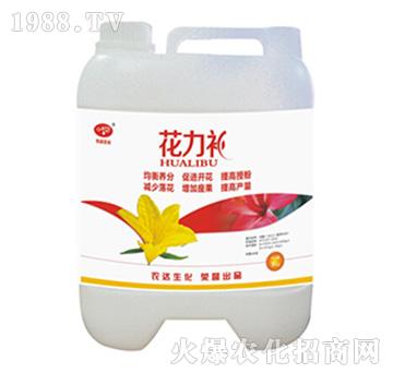 �����a(b��)-�r(n��ng)�_(d��)����