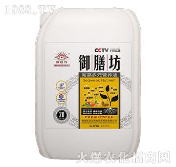 20kg�����Ԫ�I(y��ng)�B(y��ng)Һ