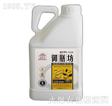 5kg�����Ԫ�I(y��ng)�B(y��ng)Һ-