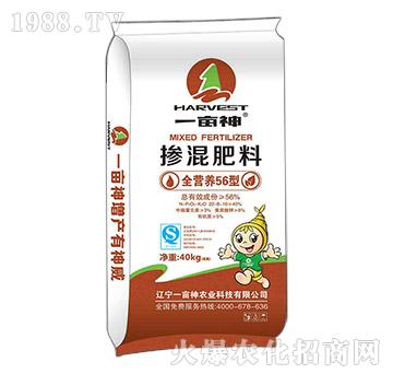 ȫ�I(y��ng)�B(y��ng)56�͓������2