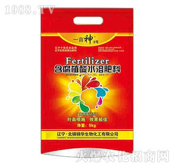 ����ֲ��ˮ�ܷ���-һ��