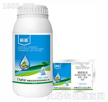 5%��୺��`-��(bi��o)�w-�h