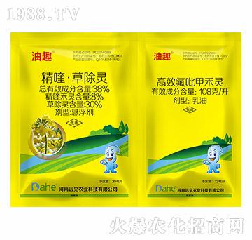 �Ͳ��������݄�-��Ȥ