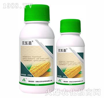 25%���ǡ�ݬȥ��-ʥ