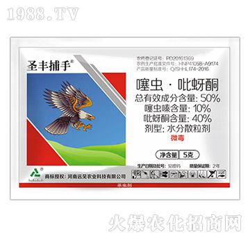 50%���x������ͪ-ʥ�S����-�hҊ�r(n��ng)�I(y��)