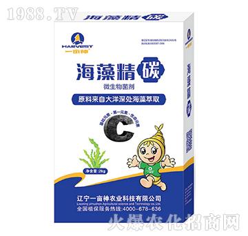 ΢�������-���徫̼-