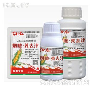 24%����.ݬȥ��-�f(w��n)