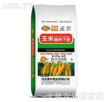 ���׸��N�·�28-6-