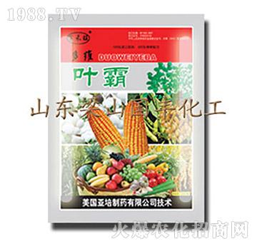 �~��-��ɽ��(gu��)�S