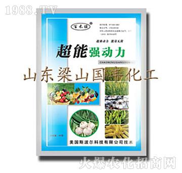 ���܏�(qi��ng)��(d��ng)��-��ɽ��(gu��)�S