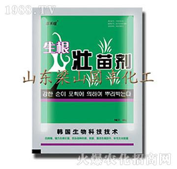 �������焩-��ɽ��(gu��)�S