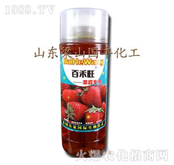 ��ݮ�����~���-��ɽ��(gu��)