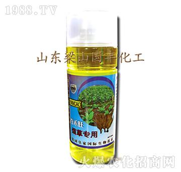 ���݌����~���-��ɽ��(gu��)