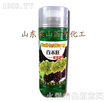 ���ь����~���-��ɽ��(gu��)