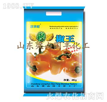 ����-��ɽ��(gu��)�S