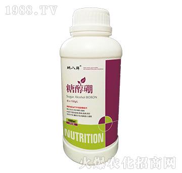 �Ǵ���-�ذ��r-��Խ����