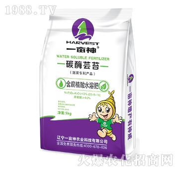 ����ֲ��ˮ�ܷ�23-5