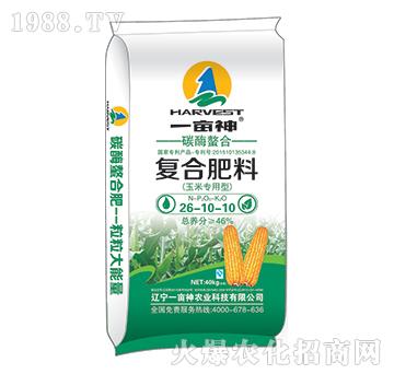 ���׌�(zhu��n)��̼ø���Ϗ�(f��)�Ϸ�