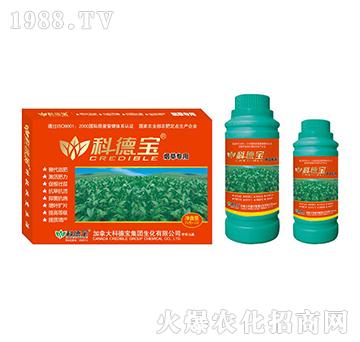 ���݌��àI�B(y��ng)���a�{�턩-�Ƶ�