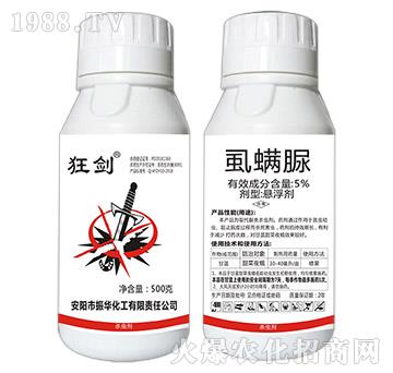 5%ʭ����-��-���A