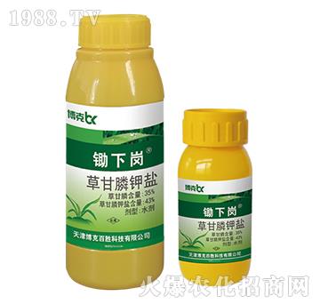 43%�ݸ����}-�z��